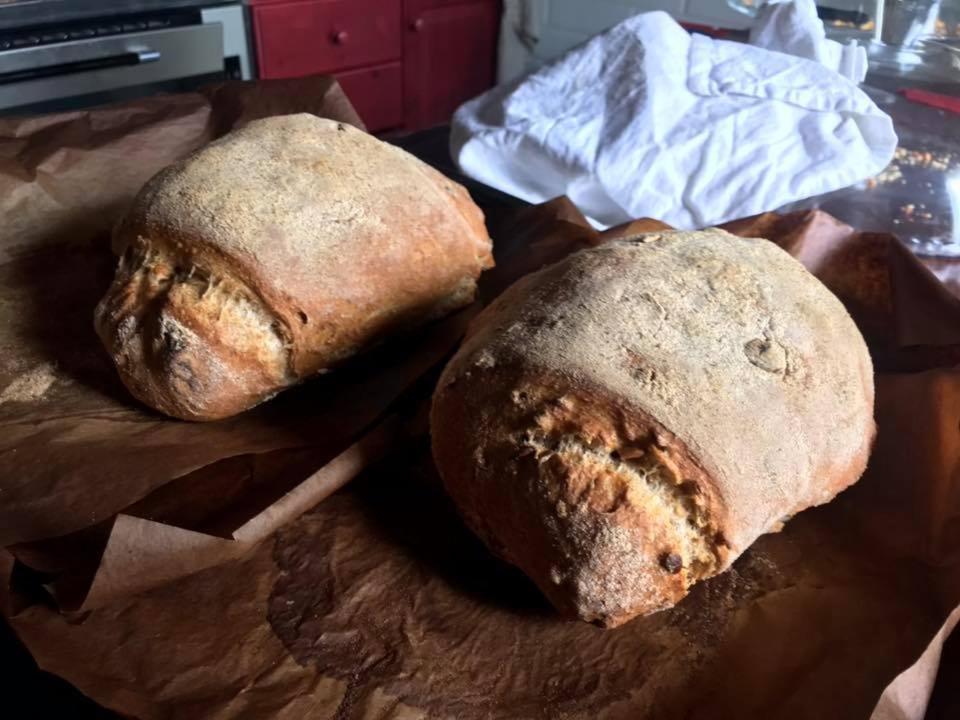 B&B Carlonga Caneva Eksteriør bilde